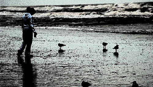 Plage sur laquelle une femme se promène au milieu d'oiseaux.